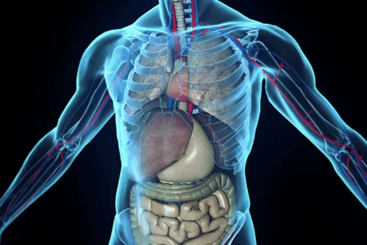 Lupus eritematoso sistémico en Perú: el impacto de una enfermedad silenciosa