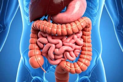 Enfermedad de Crohn: innovador tratamiento en estudio
