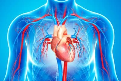 Insuficiencia cardíaca: cómo afecta a los pulmones y nuevos tratamientos en estudio